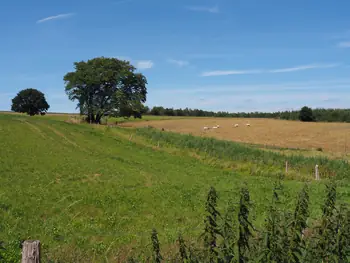 Beausaint (La Roche-en-Ardenne, Belgium)